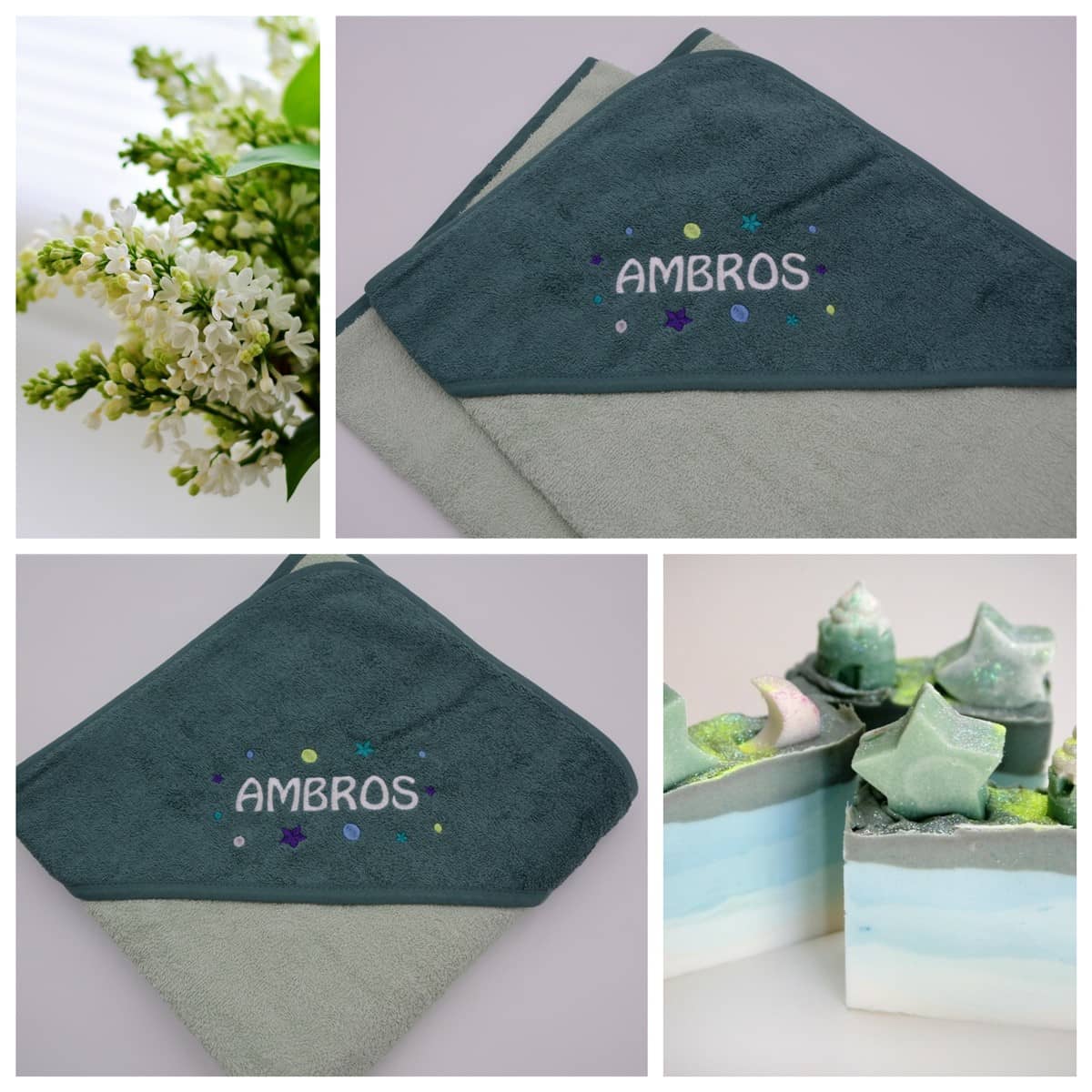 Ambros1
