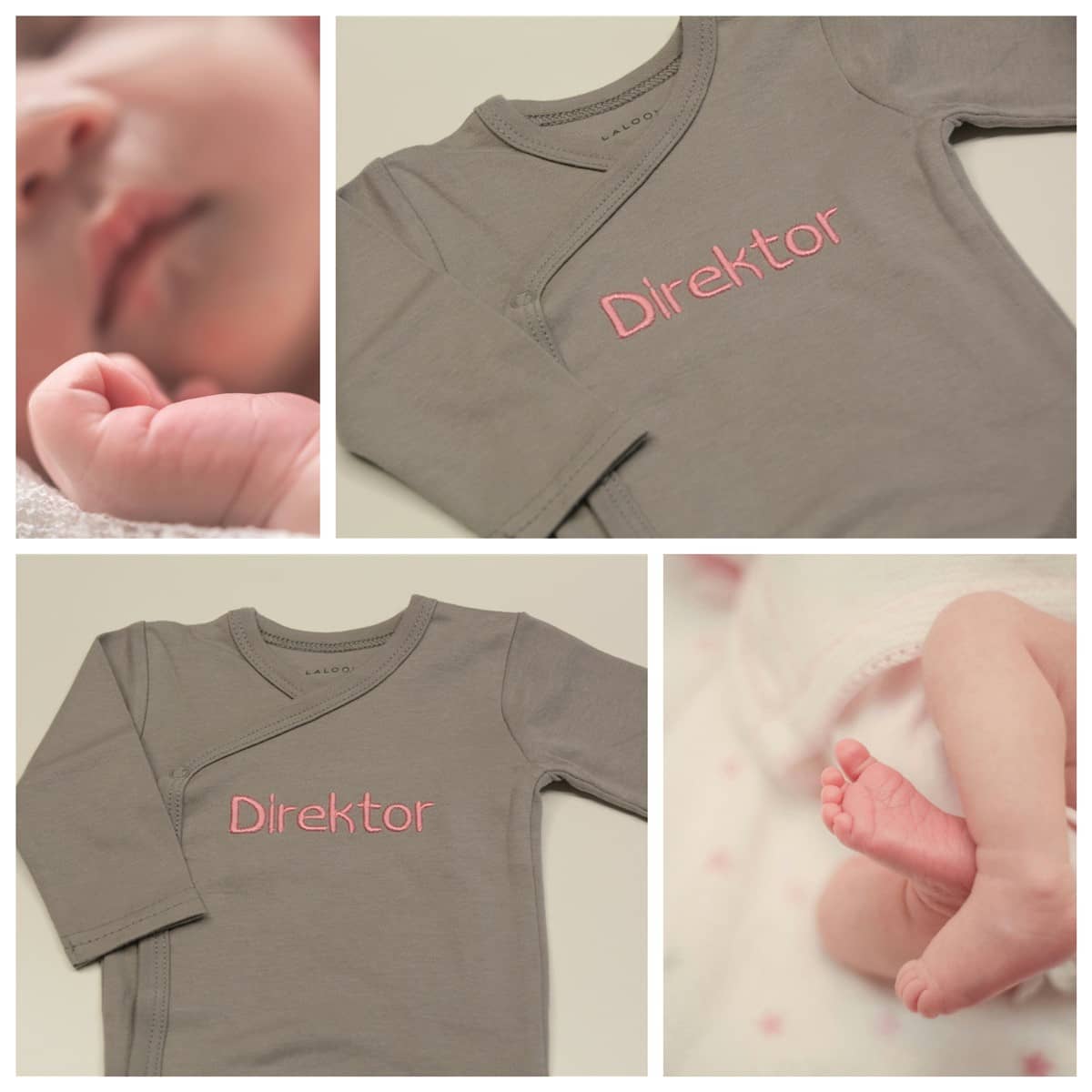 Direktor
