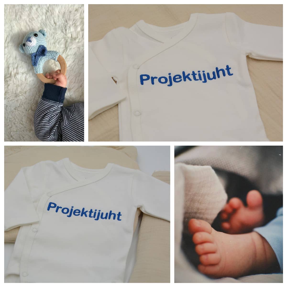 Projektijuht